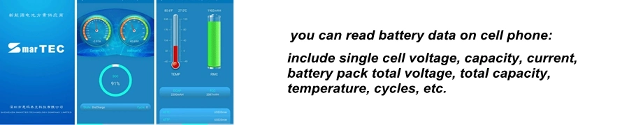 Enershare 12V 250ah LiFePO4 Battery Pack with Smart BMS for Storage Solar Energy Deep Cycle Lihium Ion Battery
