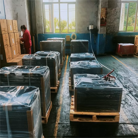 Everexceed Rechargeable Tubular Flooded Traction Battery for Truck/Forklift/Vehicle/Electric-Power 2pzb/3pzb/4pzb/5pzb/6pzb/7pzb/8pzb/9pzb/10pzb/2-13pzs/Csv